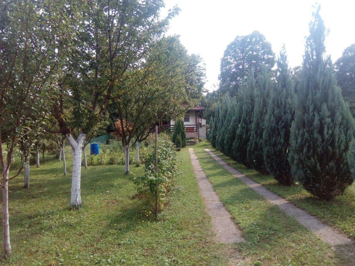 Sunny Paradise Біхач Екстер'єр фото